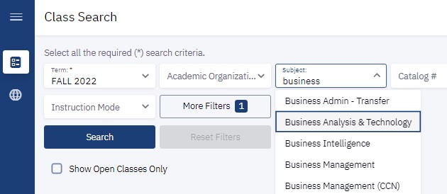 bellevue college class search on subject business analysis