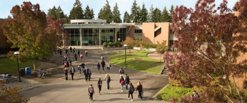 Students walk to and fro their Bellevue College classes