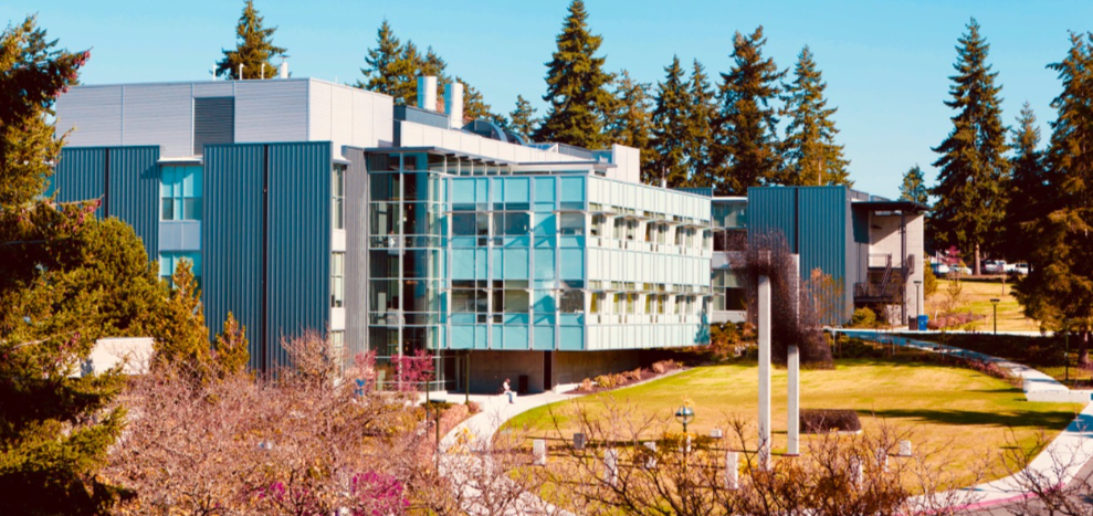 image of Bellevue College, flora has turned but pink blossoms remain