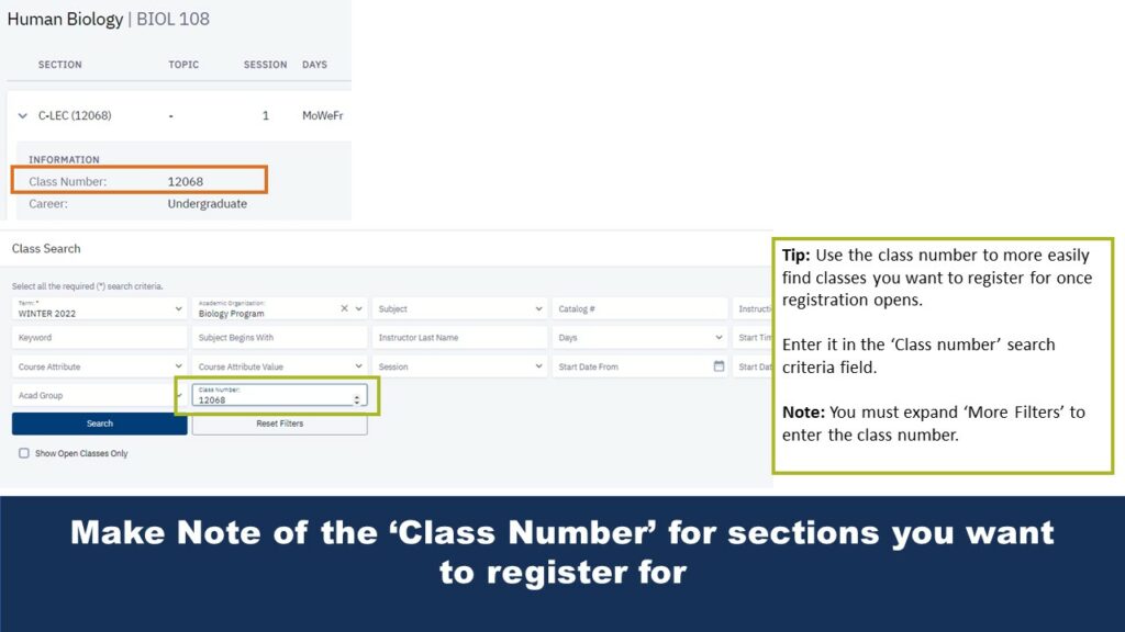 Picture that highlights specific fields on the class search page where users can find class number information for future reference. A tip field on the lower right expands on potential usage scenarios.