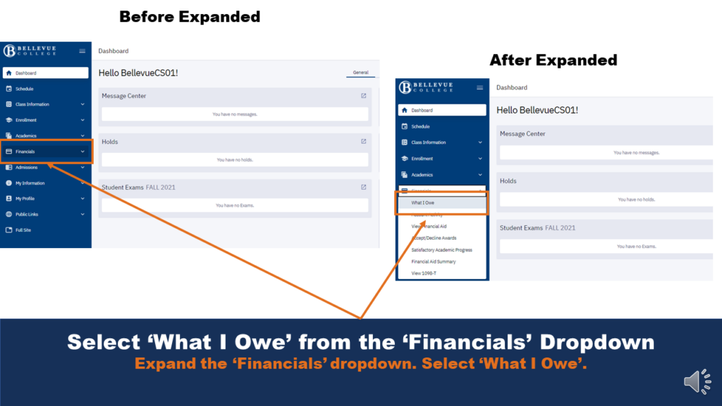 Picture that shows the expanded Financials menu. Arrows help users locate the expansion button and the "What I Owe" button found in the dropdown.