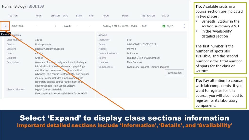 Picture that displays class information being pulled from class search. An arrow points to the expand button that will expand the information, and two tip boxes on the right provide additional context