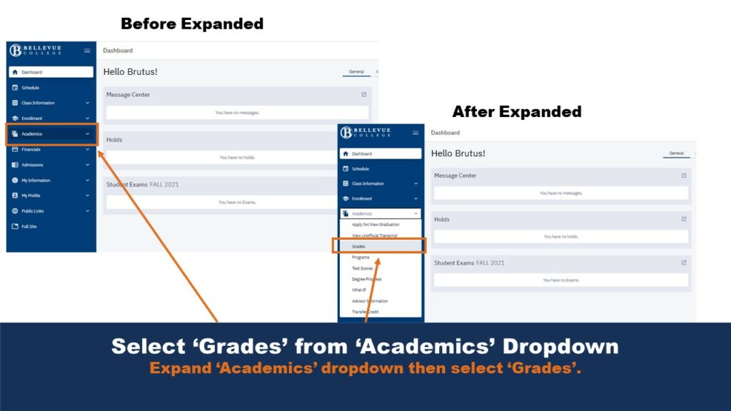 Picture of the Student Dashboard. An arrow points to the Academics dropdown menu, and another arrow points to the Grades button found in that menu.