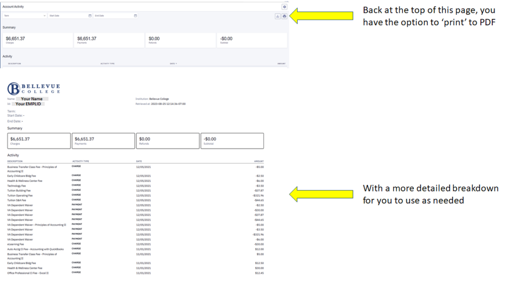 Picture that helps locate the "print to PDF" button on the Account Activity page. 