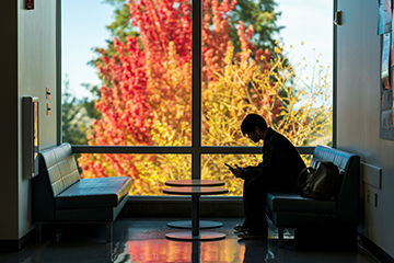 A student wears earbuds and uses their phone in front of a window featuring fall foliage.