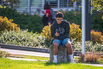 A student sits on a pedestal while using their phone.