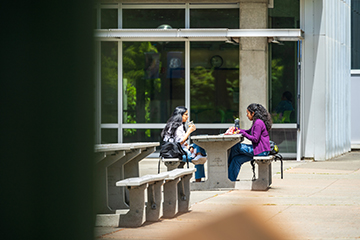 Two students have lunch on campus.