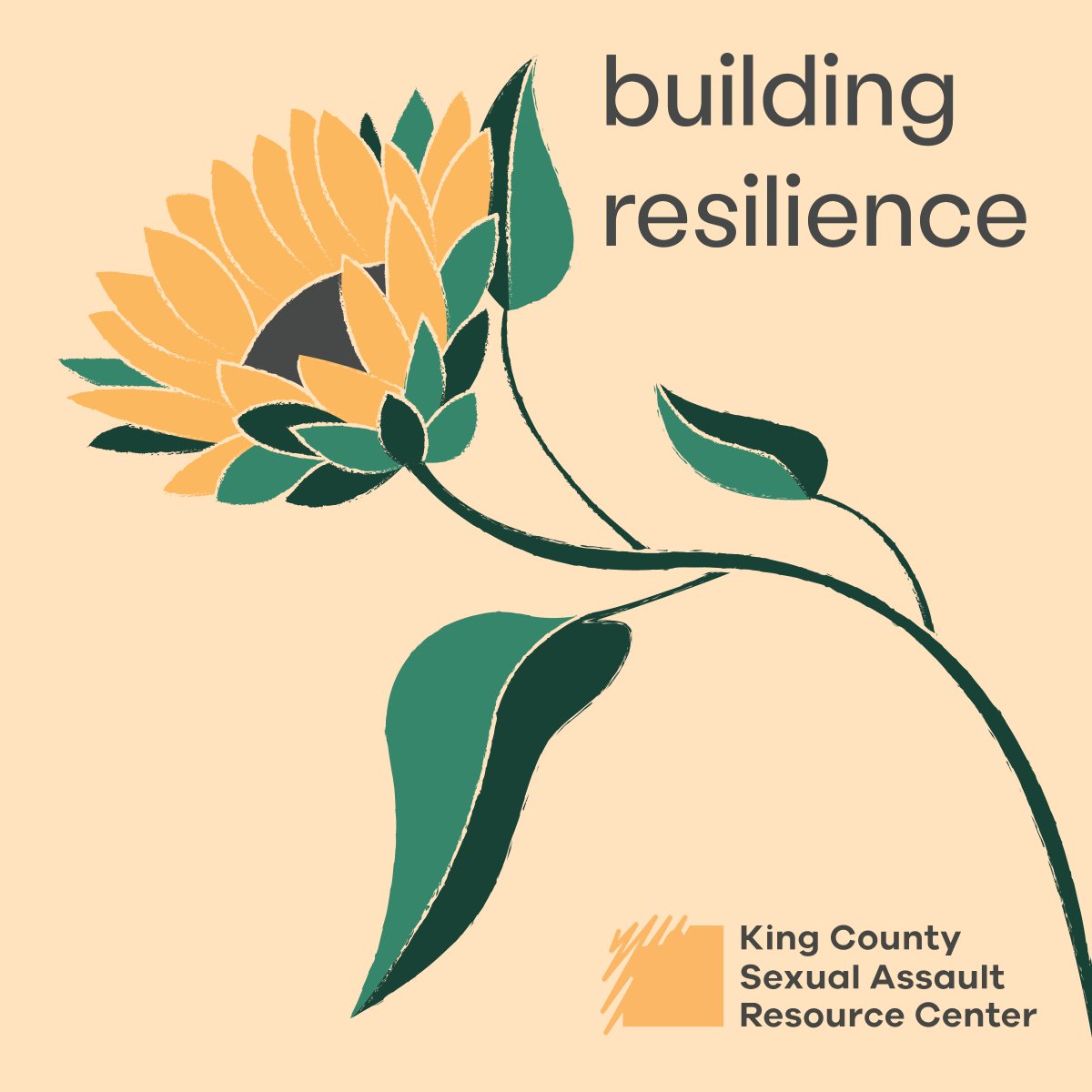 Sunflower on light yellow back ground with the words "building resilience" and "King County Sexual Assault Resource Center" which is KCSARC's logo.