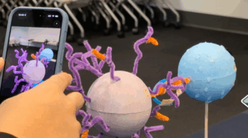 Person using a smartphone to view an augmented reality 3D model of a cell structure with colorful components.