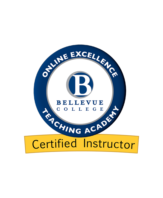 Online excellence teaching academy certified instructor badge