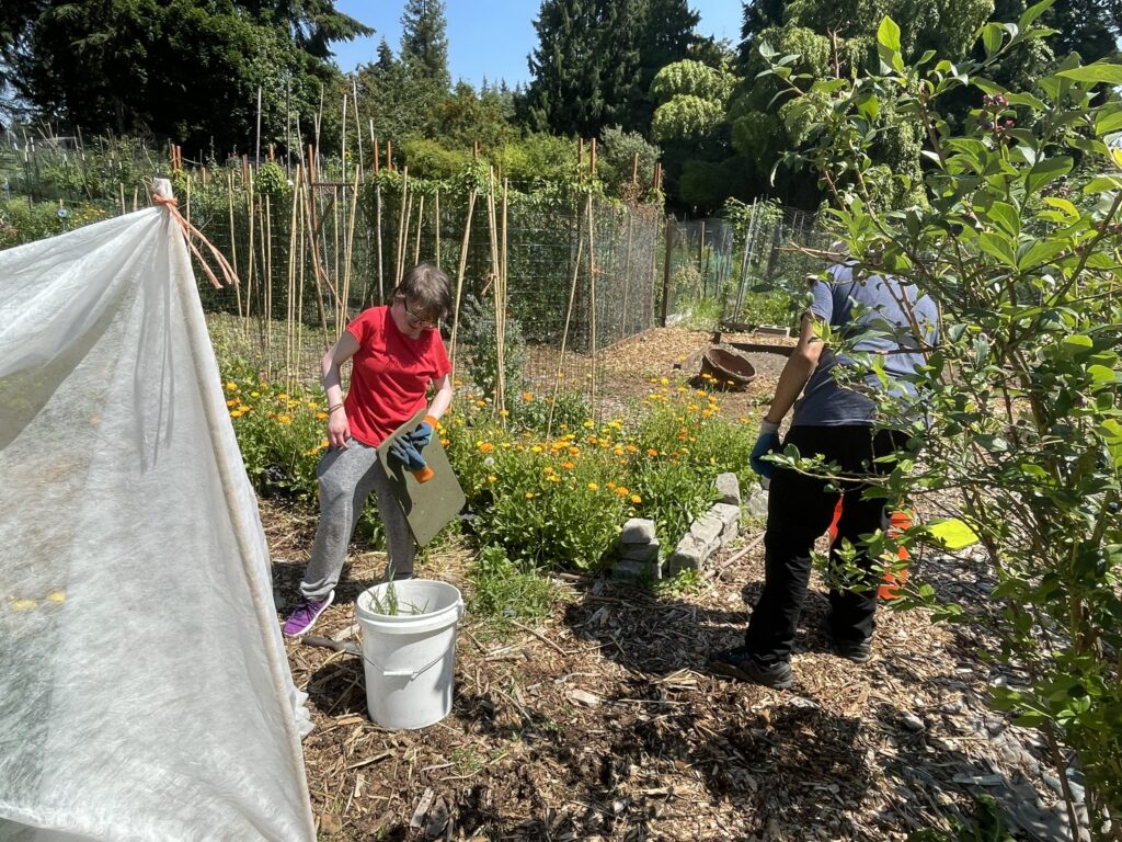 OLS student working in a garden.