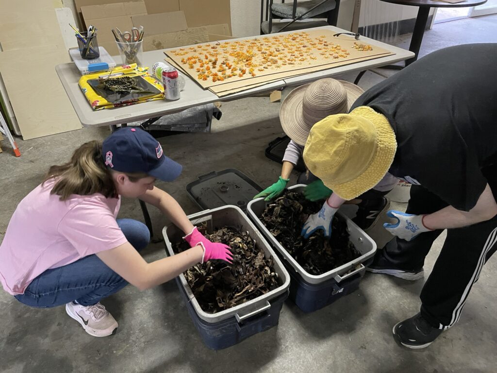OLS students working in a worm bin