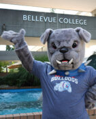 Brutus waves near the Bellevue College fountain.