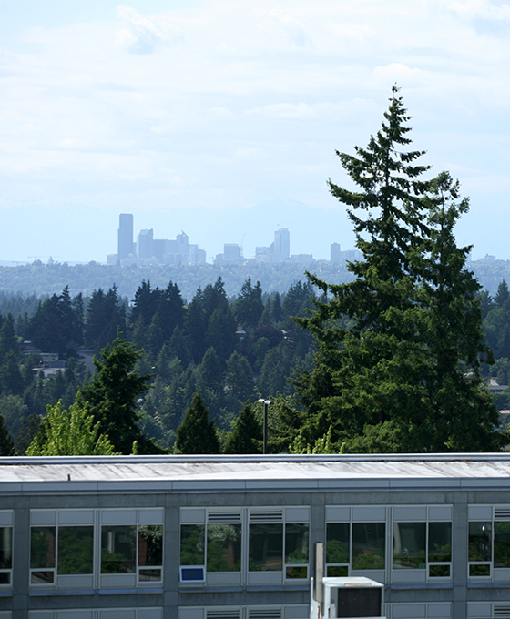 The Bellevue College campus looks out on the Seattle skyline.