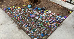 Handpainted kindness rocks are placed in a garden setting on campus.