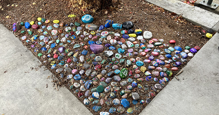 Handpainted kindness rocks are placed in a garden setting on campus.