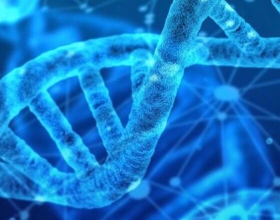 DNA double helix