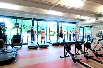 Treadmills in front of the floor to ceiling windows, letting in lots of light and greenery.
