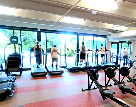 Treadmills in front of the floor to ceiling windows, letting in lots of light and greenery.