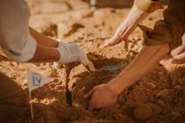 Archaeological Digging Site