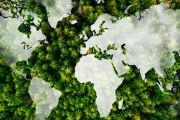 Aerial view of a forest forming the shape of a world map.