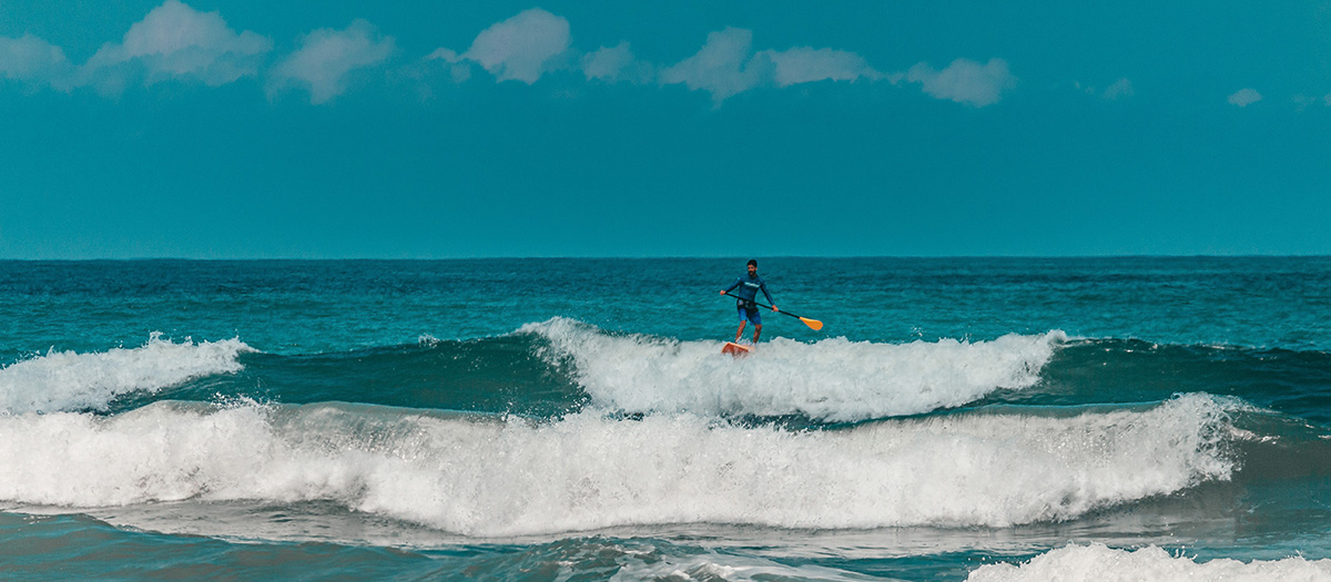 A paddleboarder rides a wave to shore.