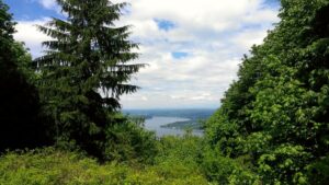 Anti Aircraft Peak in Cougar Mountain Regional Wildland Park