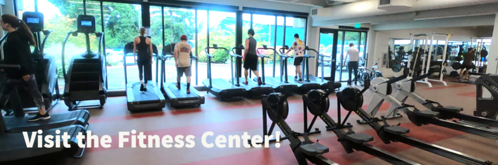 Cardio fitness area with people using the treadmills and view of the trees through the window.