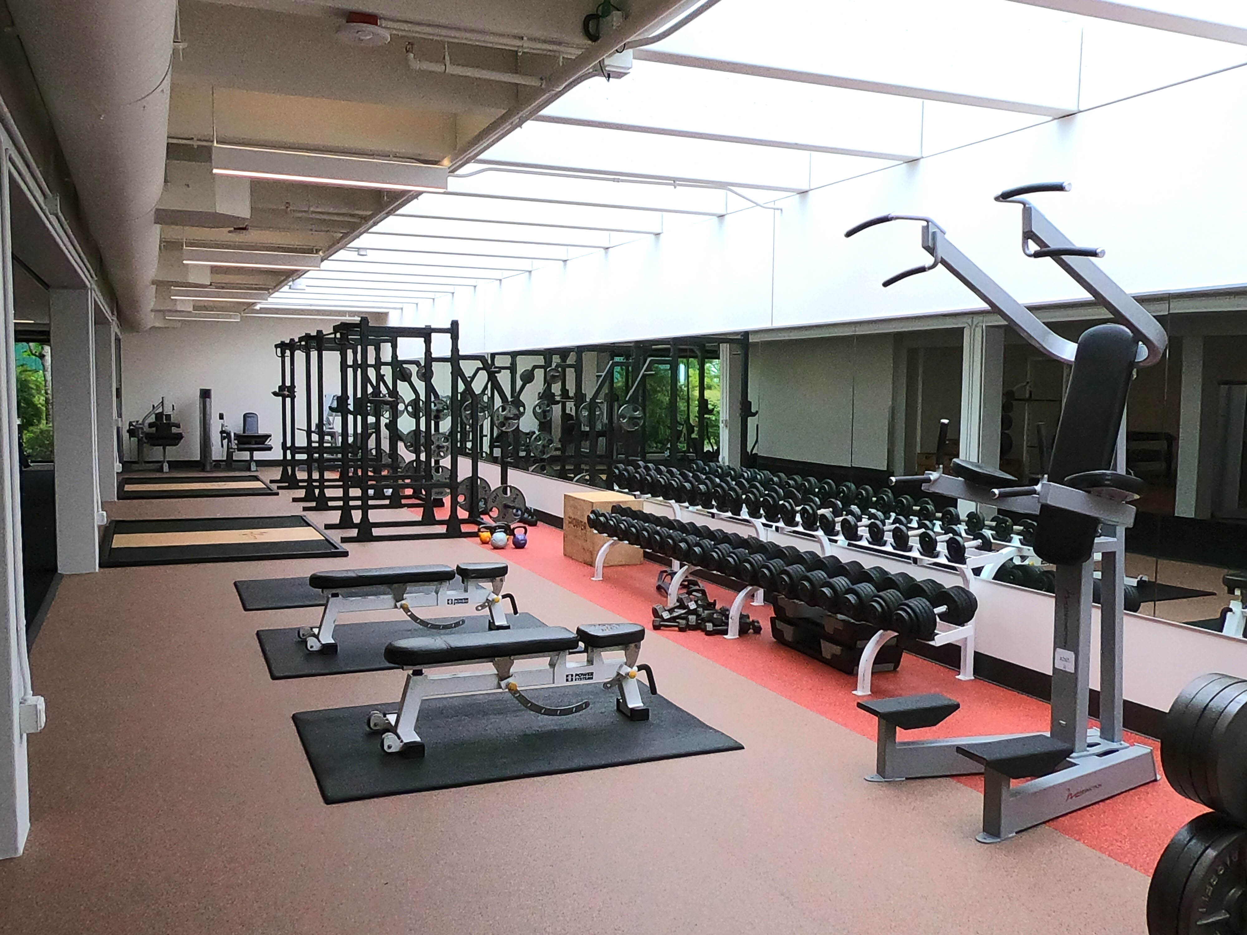 Free weight area and benches under skylights