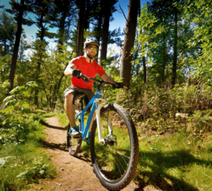 Biking a forest trail
