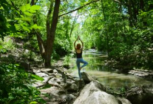 Guided Mindfulness Hike