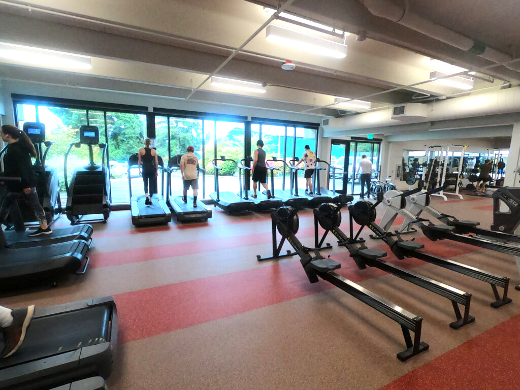 Cardio window with people walking and running on treadmills in front of large window