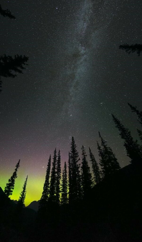 Milky Way above the trees in the mountians