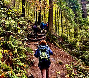 Hiking in Fall Foliage on the Chirico Trail