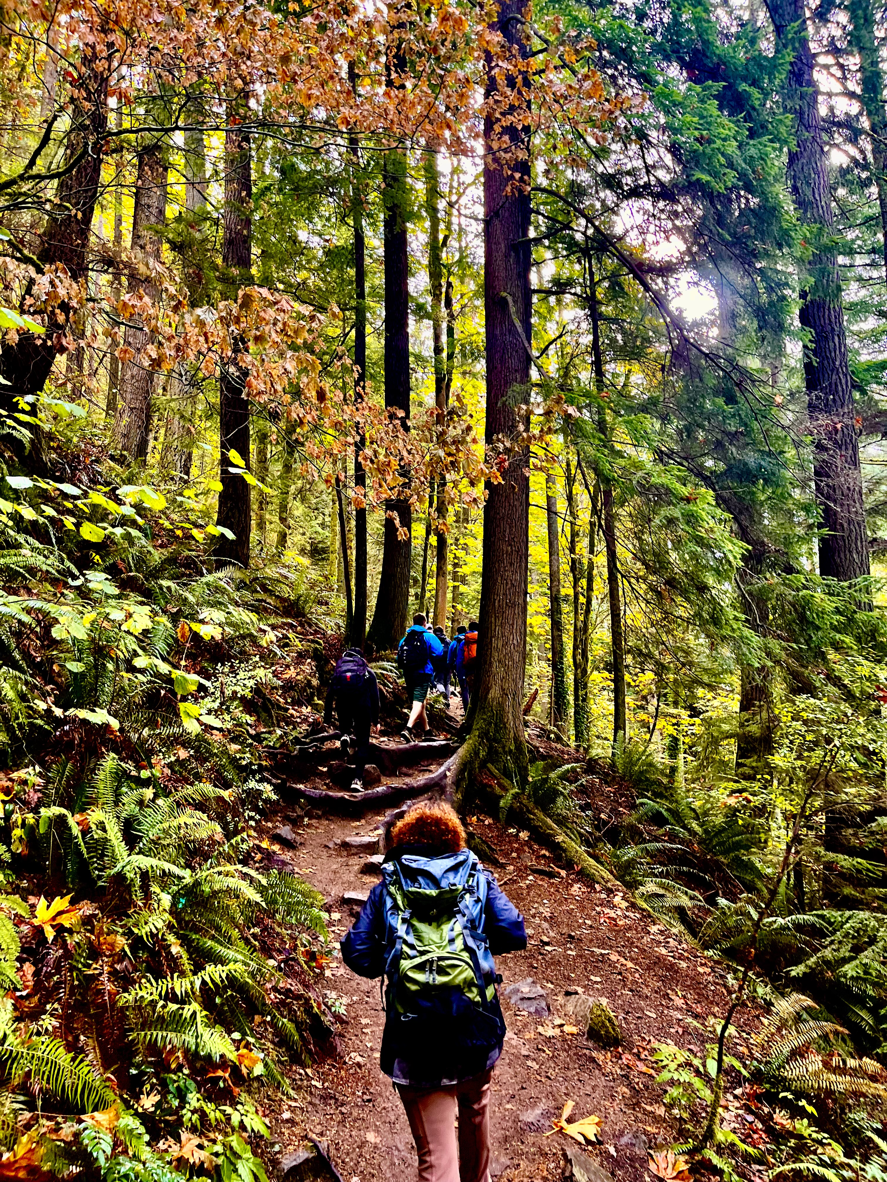 Hiking in Fall Foliage on the Chirico Trail