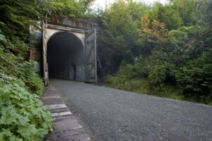 Snoqualmie Tunnel with trees and greenery encroaching on the trail
