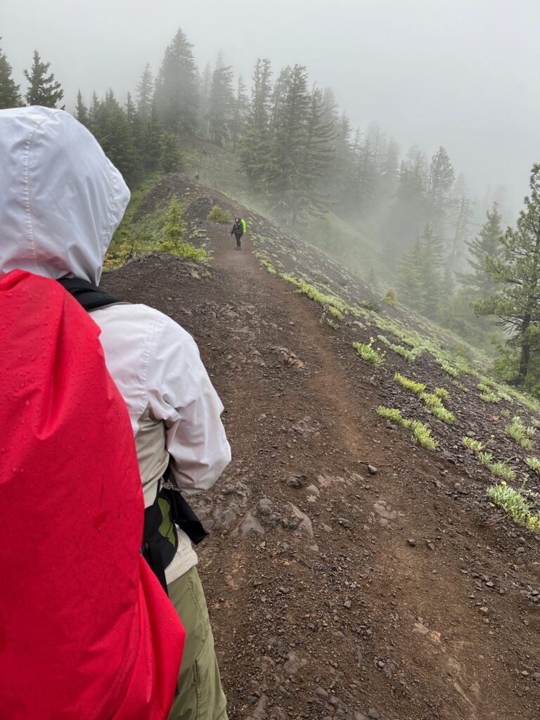 Fog drifting over a subalpine ridge, two hikers in wet weather gear.