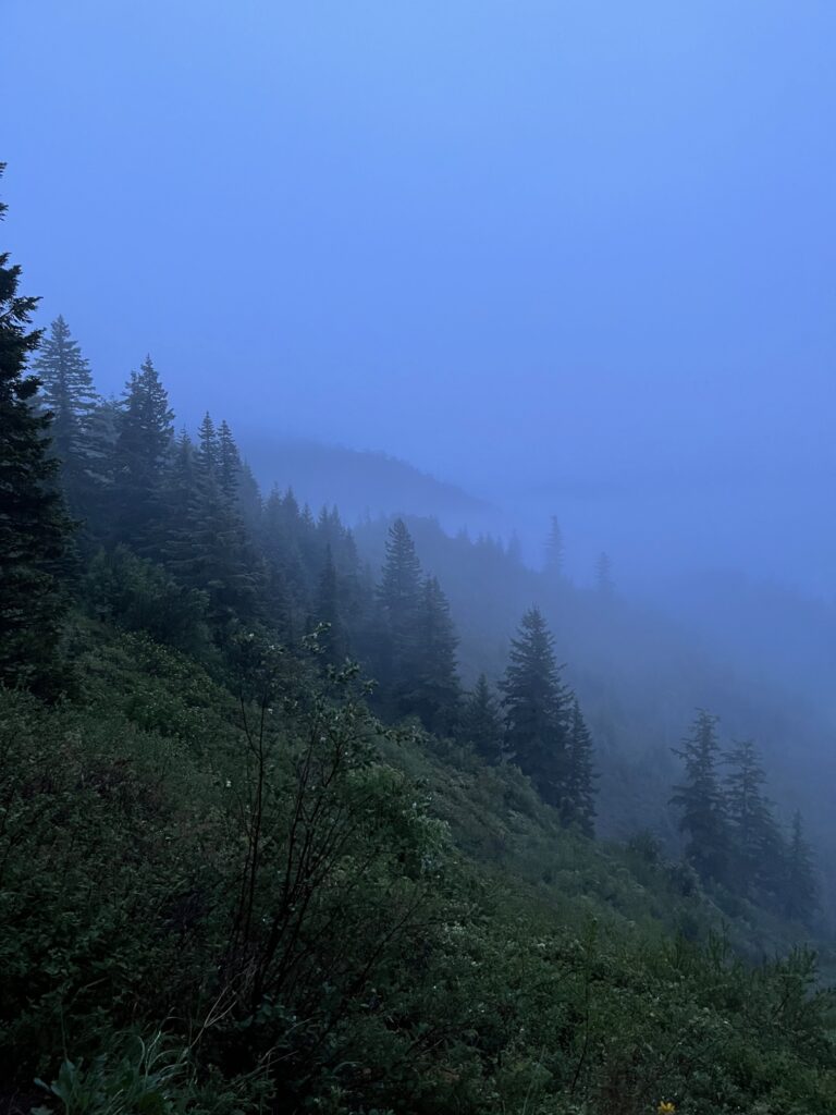 Heavy fog turns the forests blue.