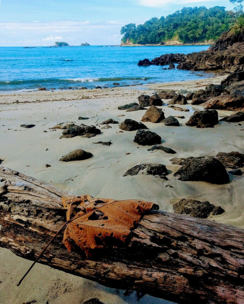 Costa Rica beach
