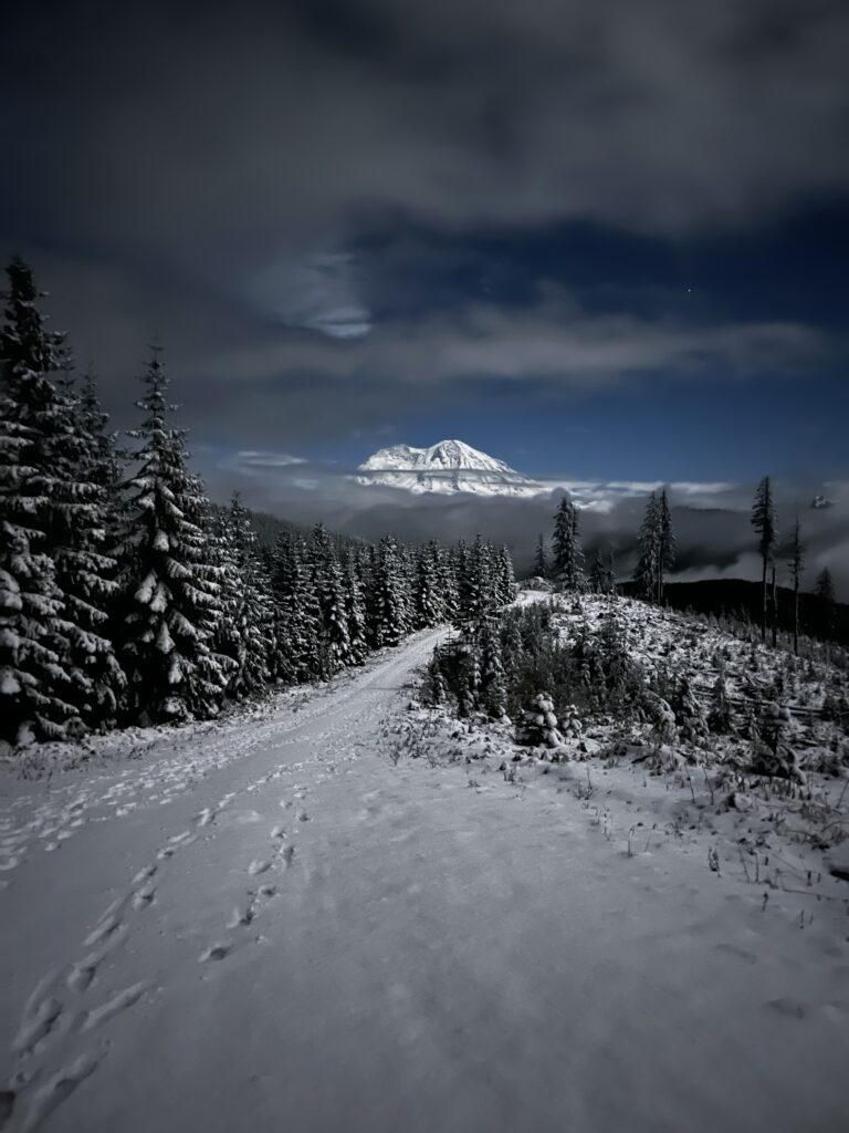 Snow is heavy in the trees and on the trail as it ascends a ridge with a view to Mt Rainier.