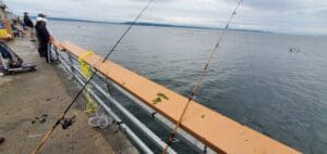 Introduction to Pier Fishing & Crabbing