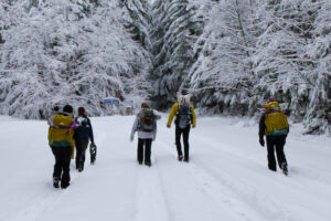 Snowshoeing in the deep deep snow, Central Cascades.