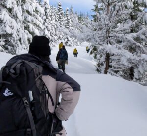 Snowshoeing through deep, deep snow in na winter wonderland.