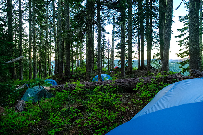 Tents tucked into the forest at twilight above Mirror Lake.