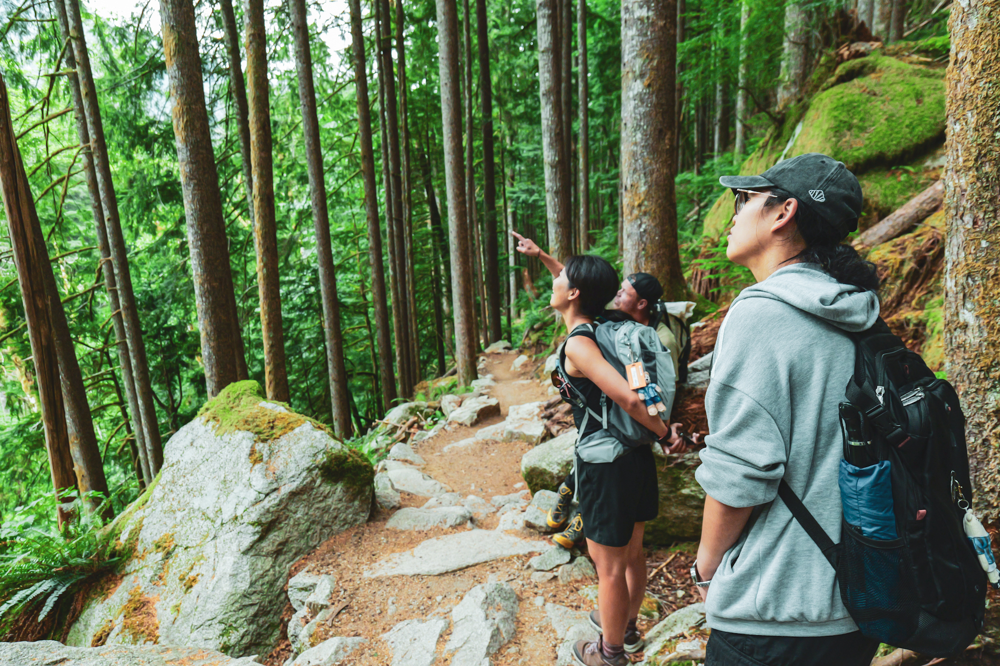 Hikers looking up into the trees on a rocky portion of the Middle Fork of the Snoqualmie Trail, Mt Baker Snoqualmie National Forest.