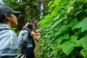 Mindfulness Outdoors - Middle Fork Trail Adventure