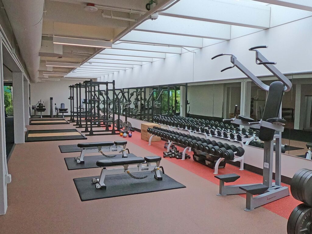 Long rack of free weights and weight benches in front of a mirrored wall under broad skylights.