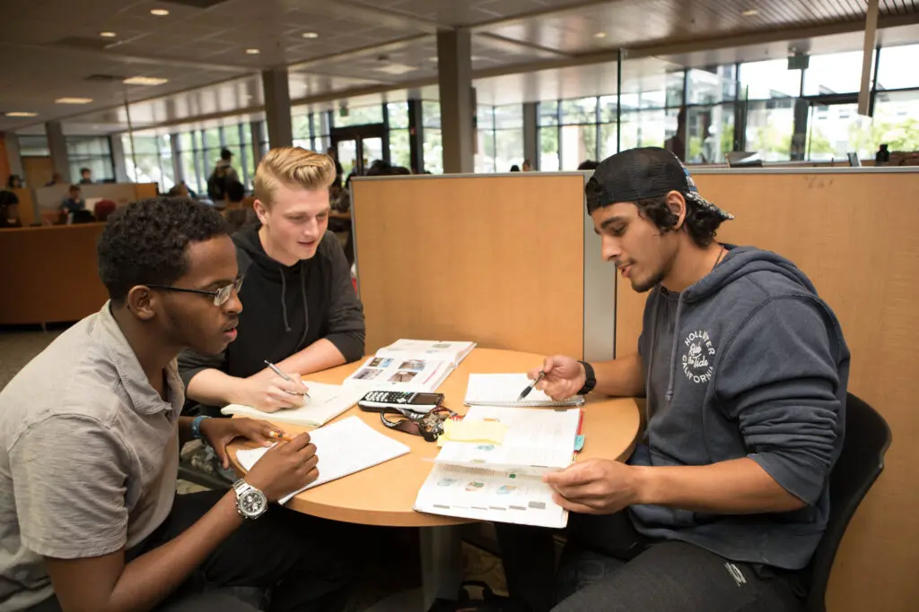 Three students study together.