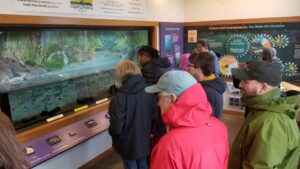 Faculty examine a salmon display