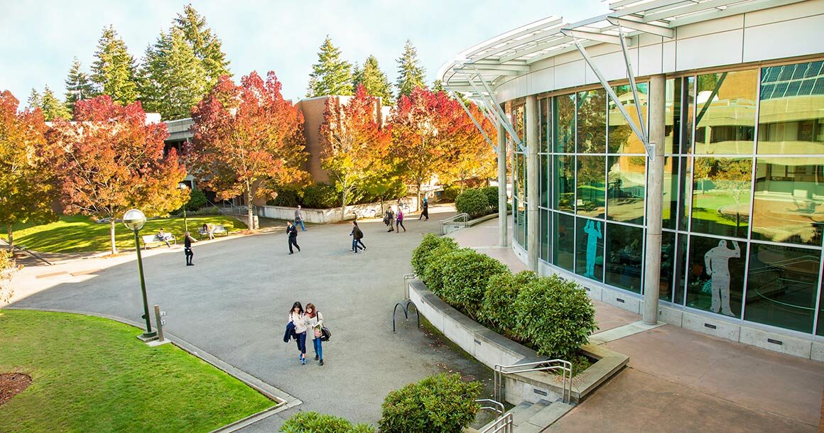 The exterior of the C Building with autumnal trees